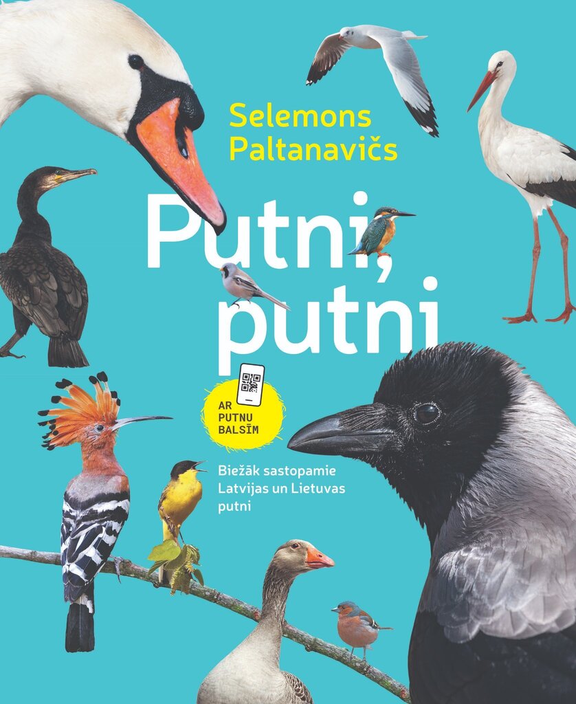 Putni, putni Biežak sastopamie Latvijas un Lietuvas putni cena un informācija | Enciklopēdijas, uzziņu literatūra | 220.lv