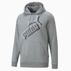 PUMA VĪRIEŠU TRAKA JAKA 849864*06, pelēks 4064537741214 cena un informācija | Vīriešu jakas | 220.lv