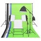 Fotostudijas apgaismojuma komplekts ar foto galdu cena un informācija | Apgaismojums fotografēšanai | 220.lv