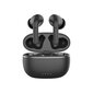 Austiņas ar uzlādes vāciņu, Forever Bluetooth ANC earphones TWE-210 Earp black cena un informācija | Austiņas | 220.lv