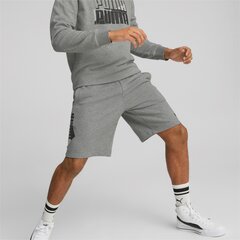 Мужские шорты Puma Power Logo 849795*03, серые цена и информация | Мужские шорты | 220.lv