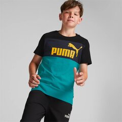 Puma bērnu T-krekls 846127*27, tumši pelēks/aqua 4064537631966 цена и информация | Рубашки для мальчиков | 220.lv