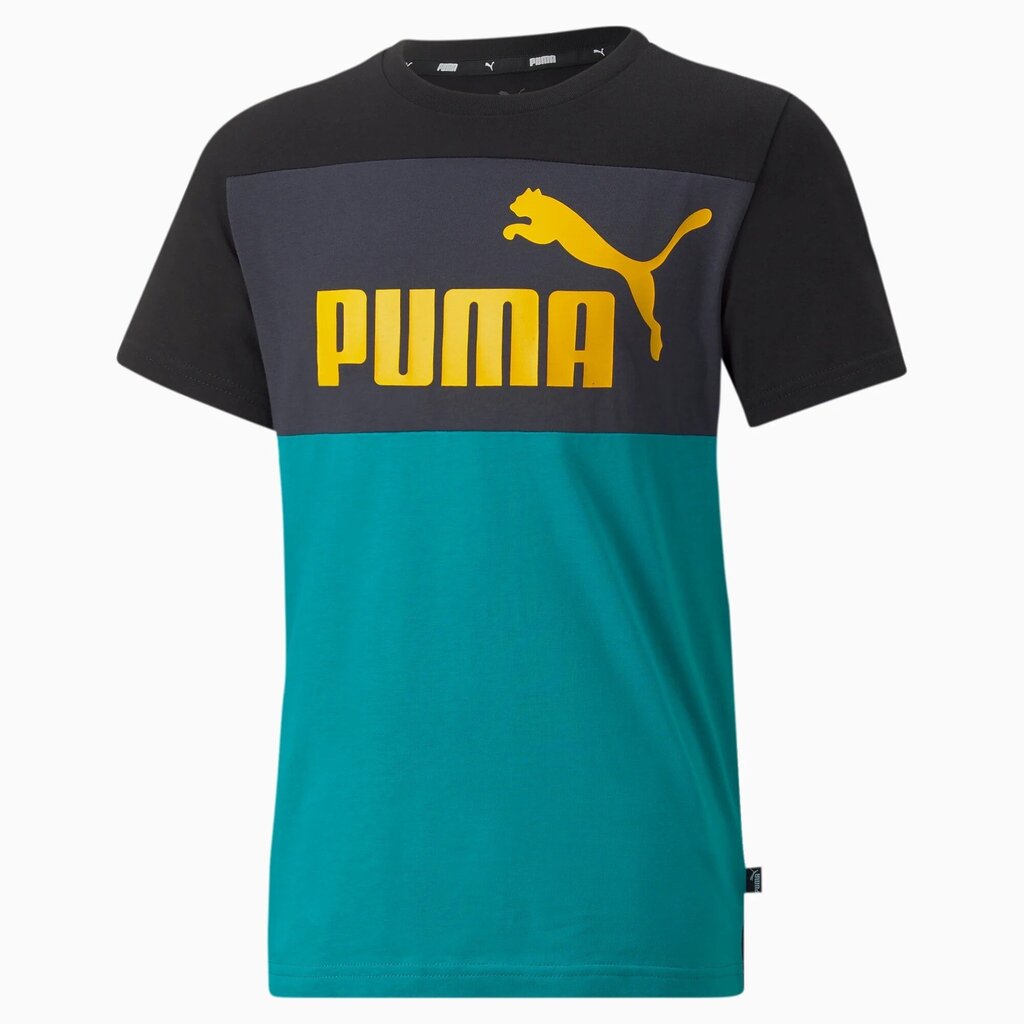 Puma bērnu T-krekls 846127*27, tumši pelēks/aqua 4064537631966 цена и информация | Zēnu krekli | 220.lv