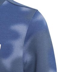 HOODIE ADIDAS ORIGINALS CREW GN4130 цена и информация | Свитеры, жилетки, пиджаки для мальчиков | 220.lv