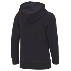 Džemperis champion legacy hooded sweatshirt 305784kk001 cena un informācija | Zēnu jakas, džemperi, žaketes, vestes | 220.lv