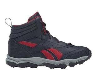 Sporta apavi reebok rugged runner mid fw8554 cena un informācija | Sporta apavi bērniem | 220.lv