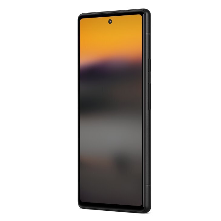 Google Pixel 6a 5G Dual SIM 6/128GB Charcoal (GA02998-GB) цена и информация | Mobilie telefoni | 220.lv