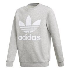 HOODIE ADIDAS ORIGINALS TREFOIL CREW GD2709 цена и информация | Свитеры, жилетки, пиджаки для мальчиков | 220.lv