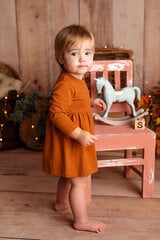 Платье-боди, Safal Kids, приятная для кожи сертифицированная ткань eco-tex, сделано в Эстонии цена и информация | Юбки, платья для новорожденных | 220.lv
