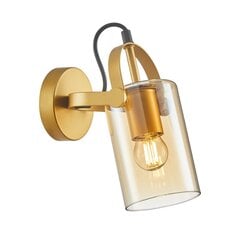 Sienas lampa WL-32453-1 GD+AMB цена и информация | Настенные светильники | 220.lv