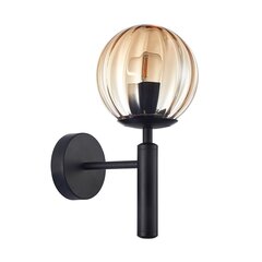 Sienas lampa WL-2324-1 BK+AMB cena un informācija | Sienas lampas | 220.lv