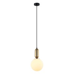 Piekaramā lampa PND-02340-1M-BRO cena un informācija | Lustras | 220.lv