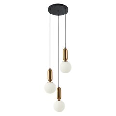 Piekaramā lampa PND-02340-3S-BRO cena un informācija | Lustras | 220.lv