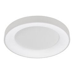 Griestu lampa 5304-850RC-WH-4 cena un informācija | Griestu lampas | 220.lv