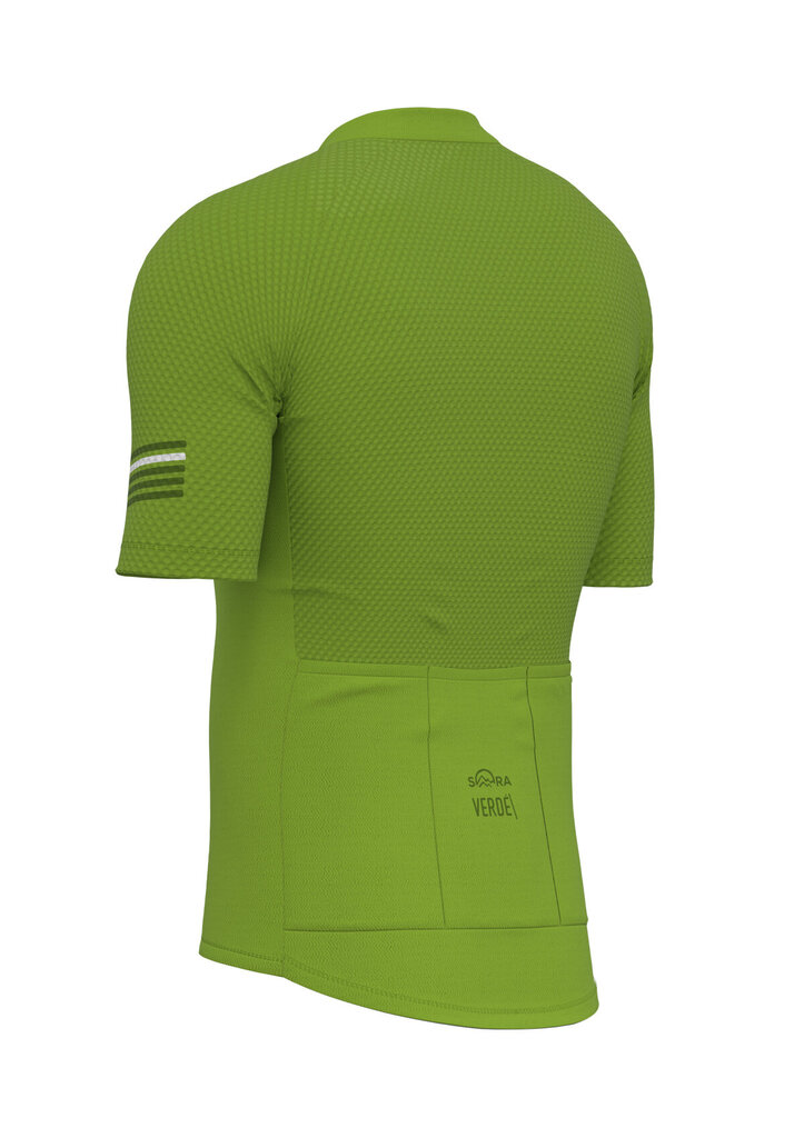 Riteņbraukšanas T-krekls Verde Classic slim cena un informācija | Velo apģērbs | 220.lv