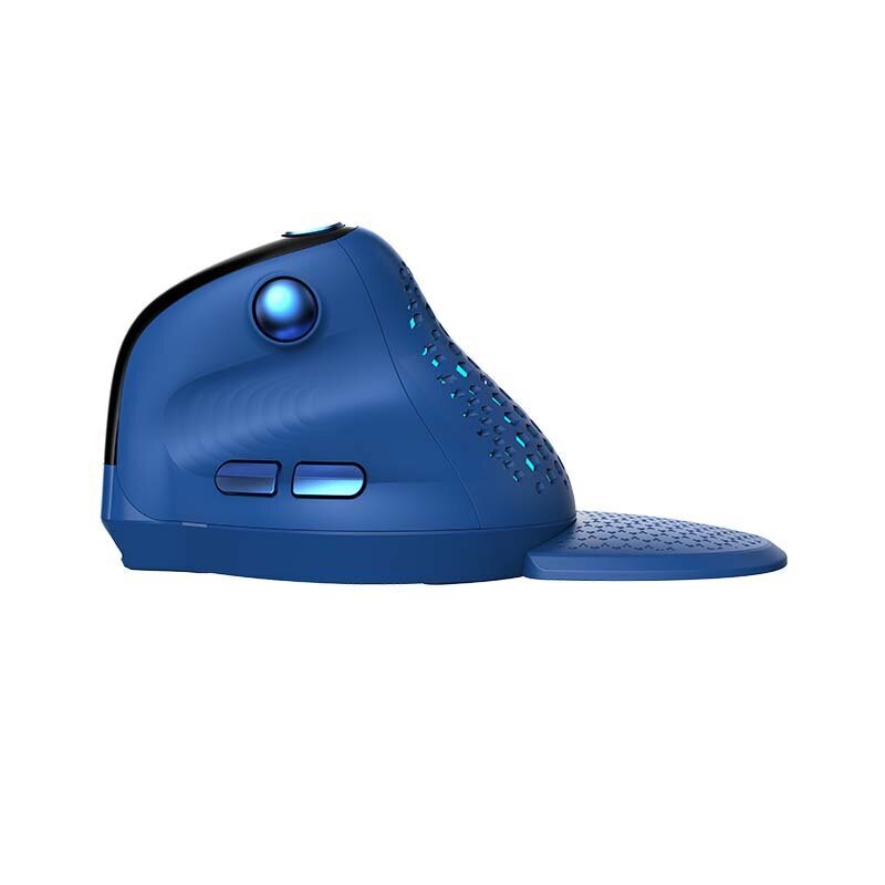 Wireless Ergonomic Mouse Delux M618XSD BT+2.4G RGB (blue) цена и информация | Peles | 220.lv