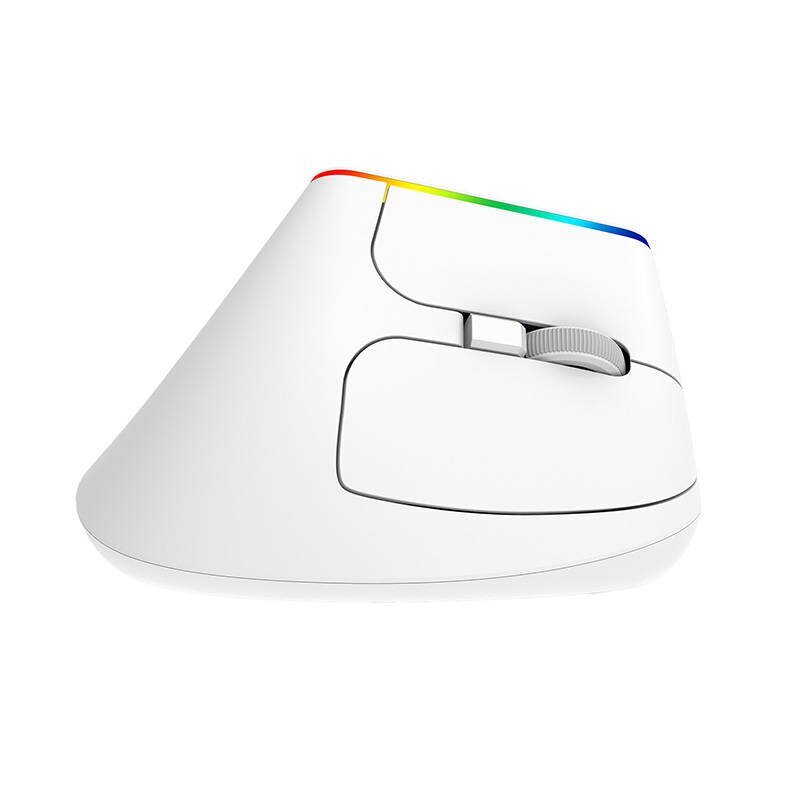 Wireless Vertical Mouse Delux M618C 2.4G 1600DPI RGB (white) cena un informācija | Peles | 220.lv