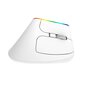 Wireless Vertical Mouse Delux M618C 2.4G 1600DPI RGB (white) cena un informācija | Peles | 220.lv