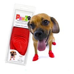 Носки для собаки Pawz, красные, размер S, 12 шт. цена и информация | Средства по уходу за животными | 220.lv