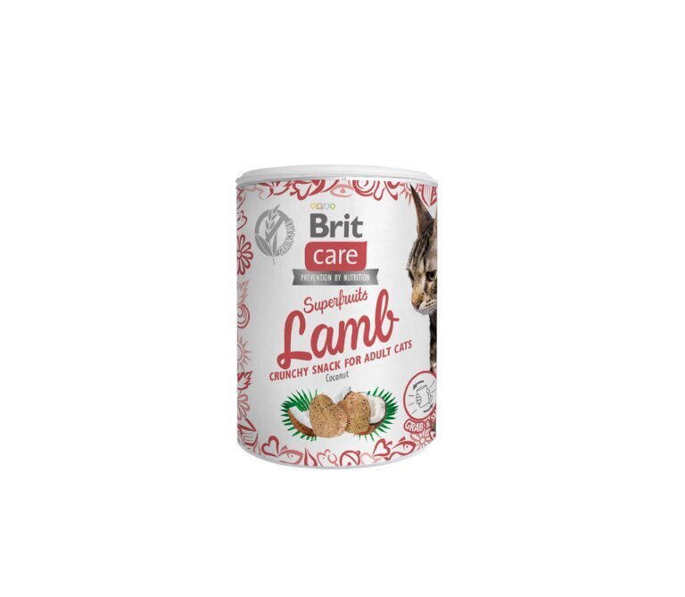 Brit Care Cat Snack SuperFruits Lamb gardumi kaķiem 100g цена и информация | Gardumi kaķiem | 220.lv