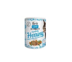 Brit Care Cat Snack SuperFruits Herring gardumi kaķiem 100g цена и информация | Лакомства для кошек | 220.lv