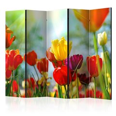 5-daļīgs aizslietnis - Spring Tulips II цена и информация | Мобильные стенки | 220.lv