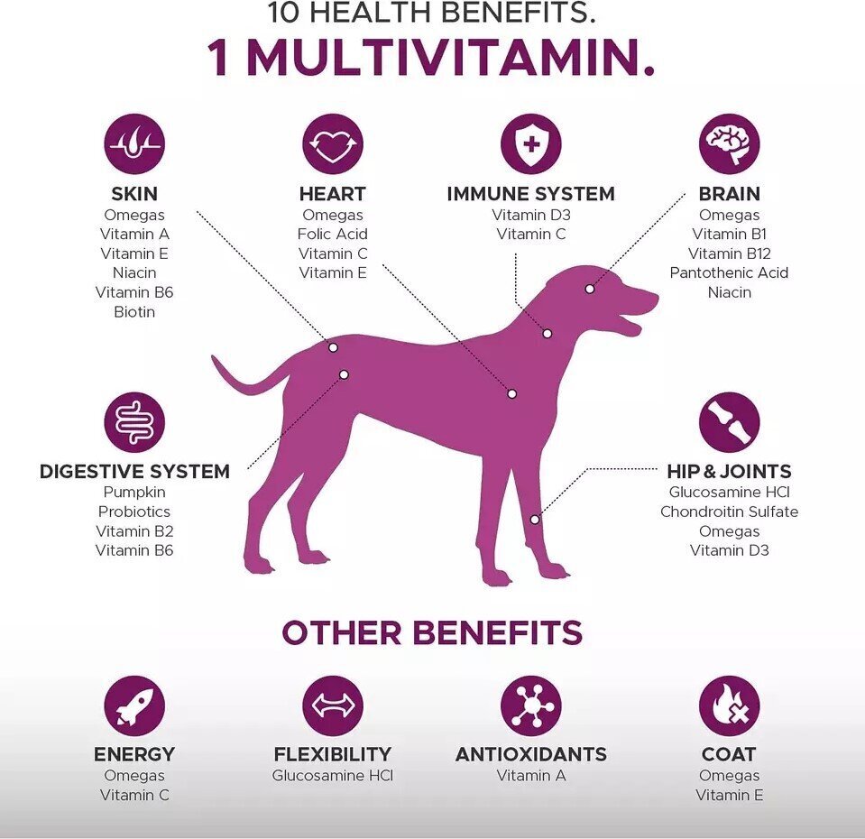 Cani Magnus uztura bagātinātājs suņiem - gardi košļājamie gardumi 10 in 1 cena un informācija | Vitamīni, uztura bagātinātāji, pretparazītu līdzekļi suņiem | 220.lv