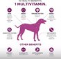 Cani Magnus uztura bagātinātājs suņiem - gardi košļājamie gardumi 10 in 1 cena un informācija | Vitamīni, uztura bagātinātāji, pretparazītu līdzekļi suņiem | 220.lv