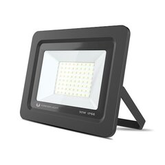 Prožektoru gaismas LED PROXIM II 50W |4500K| IP66 Mūžīgā gaisma цена и информация | Фонарики | 220.lv