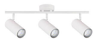 Candellux Colly потолочный светильник 93-01689 цена и информация | Потолочные светильники | 220.lv