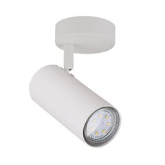 Candellux sienas lampa cena un informācija | Sienas lampas | 220.lv