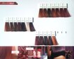 Matu krāsa Wella Professionals Color Touch 60 ml, 66/44 Dark Blonde Intense Copper cena un informācija | Matu krāsas | 220.lv
