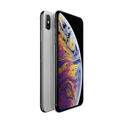 Apple iPhone XS Max 64GB Gray cena un informācija | Mobilie telefoni | 220.lv