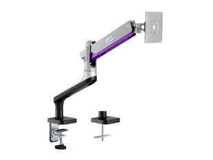 ERGO OFFICE MONITOR MOUNT WITH GAS SPRING ER-436 cena un informācija | Monitora turētāji | 220.lv