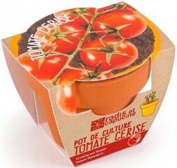 Audzēšanas komplekts bērniem, Radis et Capucine Cherry tomatoes cena un informācija | Materiāli floristikai | 220.lv