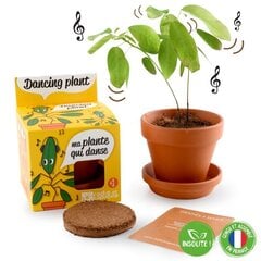 Audzēšanas komplekts bērniem, Radis et Capucine Dancing plant cena un informācija | Materiāli floristikai | 220.lv