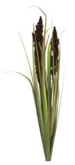 artificial plant Cortaderia Monica 89 cm silk green - cena un informācija | Mākslīgie ziedi | 220.lv