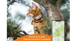 GPS izsekotājs kaķiem Weenect Cats 2 cena un informācija | Pavadas, apkakles, siksnas kaķiem | 220.lv