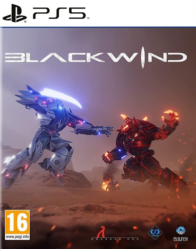 Blackwind PS5 цена и информация | Datorspēles | 220.lv