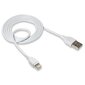 XO kabelis NB8 USB - Lightning 1,0 m 2,1A, balts цена и информация | Savienotājkabeļi | 220.lv