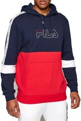 HOODIE FILA JADON BLOCKED TAPE HOODY 683255G06 цена и информация | Мужские толстовки | 220.lv