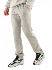 SWEATPANTS FILA WILMET SWEAT PANTS M 687210B13 цена и информация | Мужская спортивная одежда | 220.lv