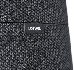 Loewe Klang MR5 Multiroom Speaker, pelēks цена и информация | Аудиоколонки | 220.lv