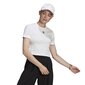 T-krekls Adidas Originals Crop Top gn2803 цена и информация | T-krekli sievietēm | 220.lv