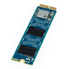 OWC AURA N2 SSD 240GB internal hard disk (MBP MID-2013-2015, MBA 2013 цена и информация | Внутренние жёсткие диски (HDD, SSD, Hybrid) | 220.lv