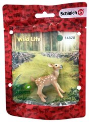 Schleich 14820S Biały Jeleń Jelonek Wild Life RED Figurka cena un informācija | Attīstošās rotaļlietas | 220.lv