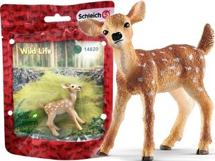 Schleich 14820S Biały Jeleń Jelonek Wild Life RED Figurka cena un informācija | Attīstošās rotaļlietas | 220.lv