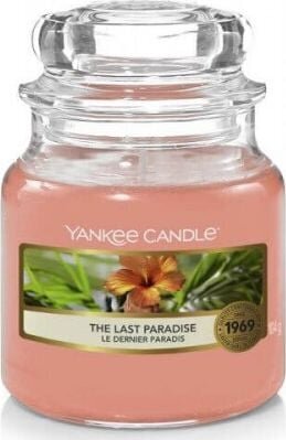 Yankee Candle The Last Paradise Candle - aromātiskā svece 104.0g cena un informācija | Sveces un svečturi | 220.lv