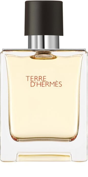 Tualetes ūdens Hermes Terre d'Hermes EDT vīriešiem, 50 ml cena un informācija | Vīriešu smaržas | 220.lv