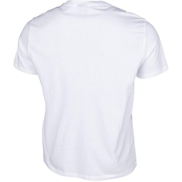 T-krekls Champion Legacy Crewneck Tee 214153ww001 цена и информация | Vīriešu T-krekli | 220.lv